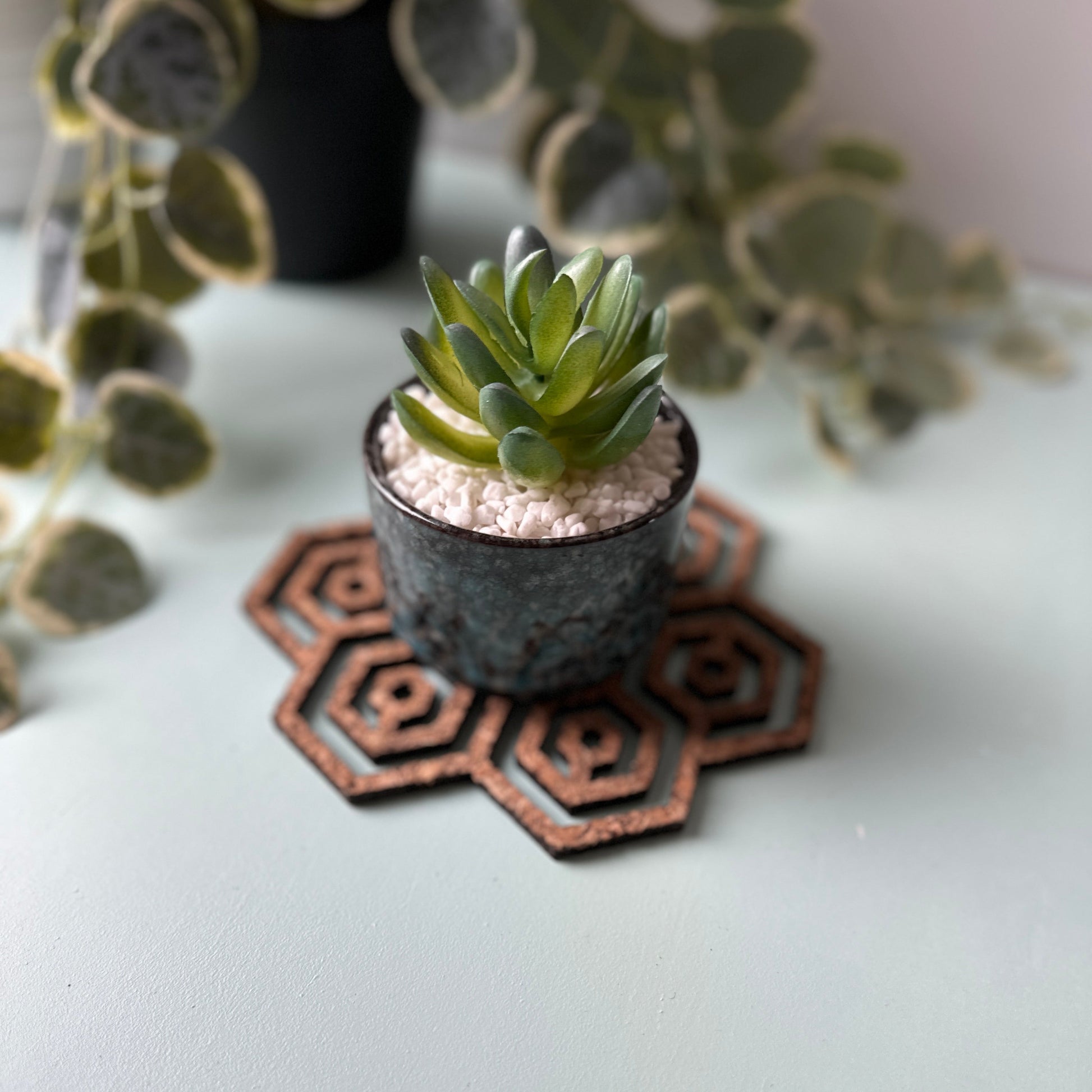 A potted plant on a honeycomb trivet on a light background