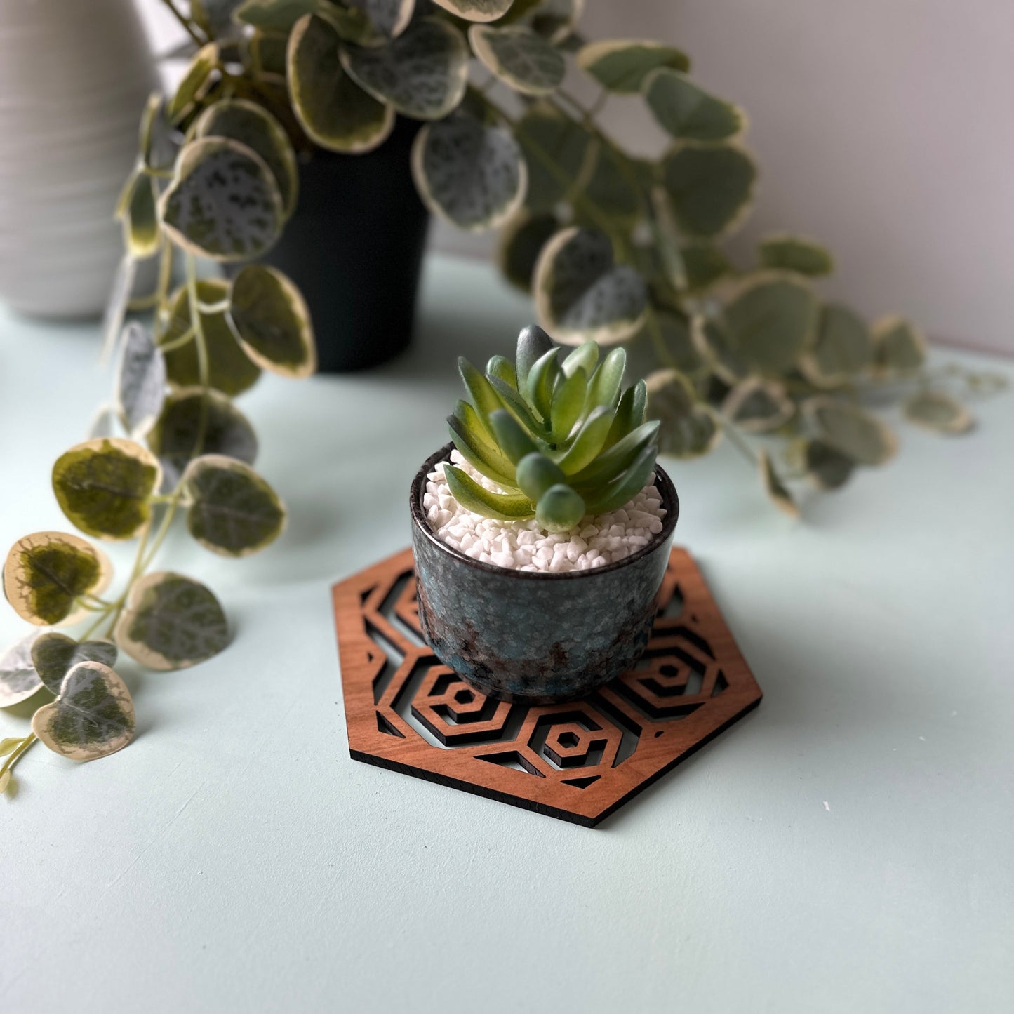 A potted plant on a honeycomb trivet on a light background