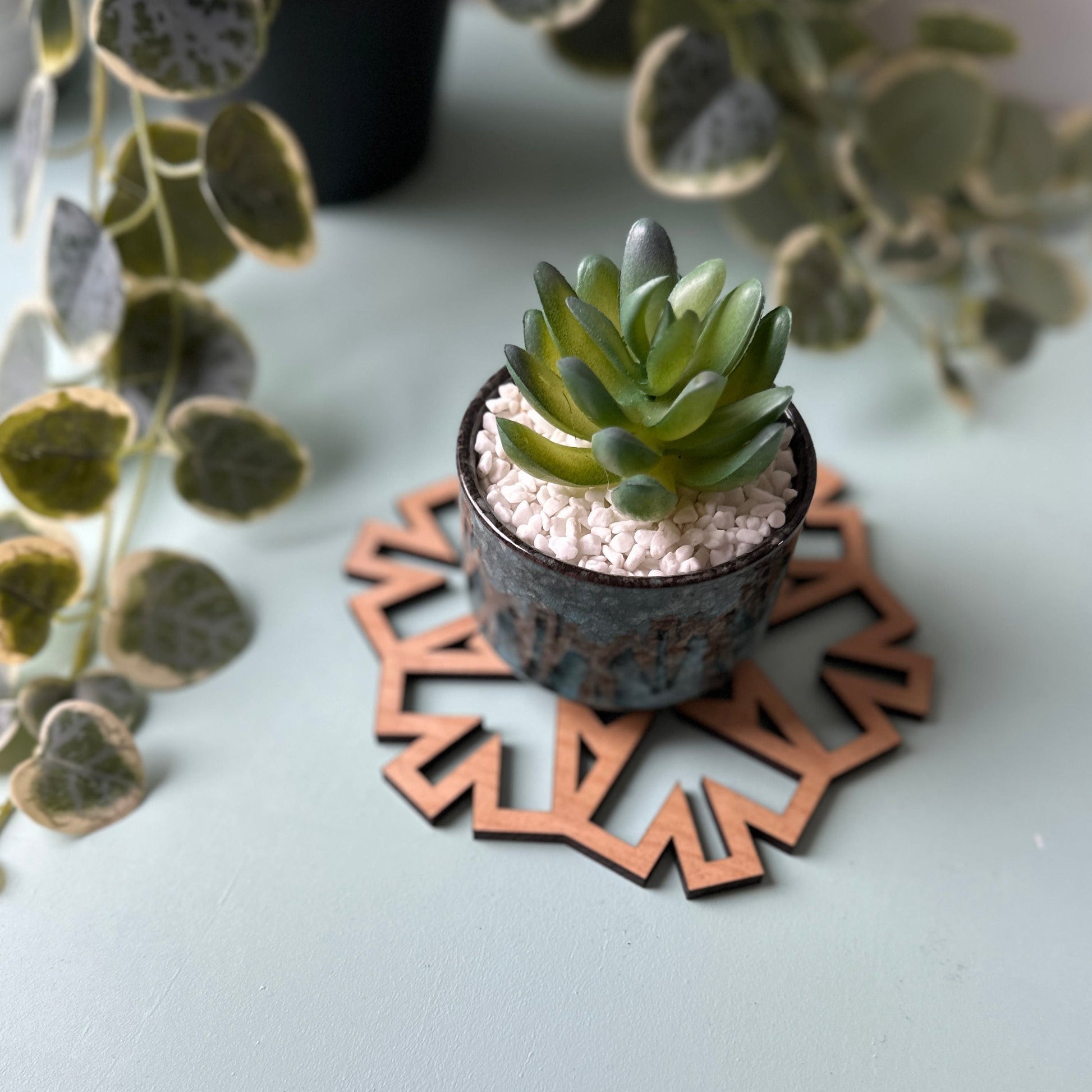 Small succulent plant in a pot on a decorative trivet with a light background