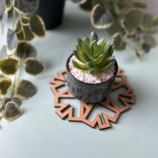 Small succulent plant in a pot on a decorative trivet with a light background
