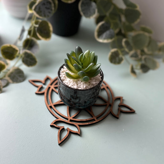 Small potted plant on a stained glass trivet with leaves in the background