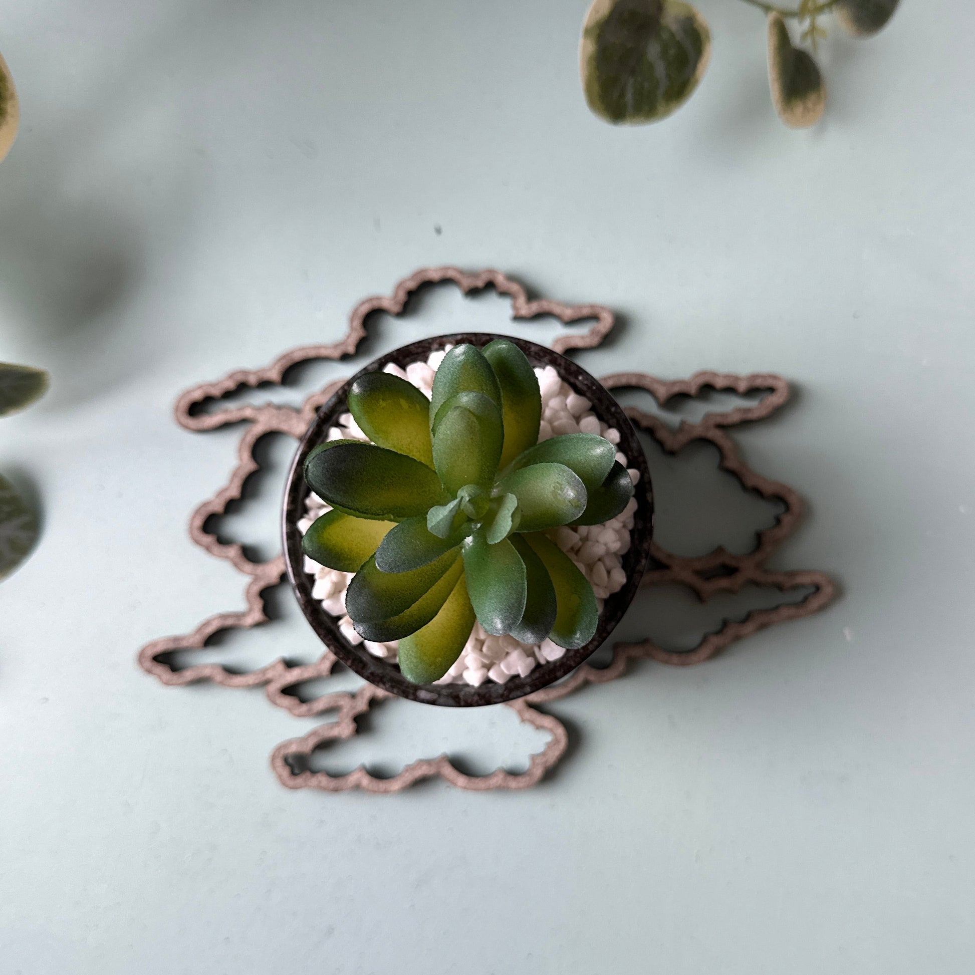 Small succulent plant in a decorative pot on a cloud-shaped trivet