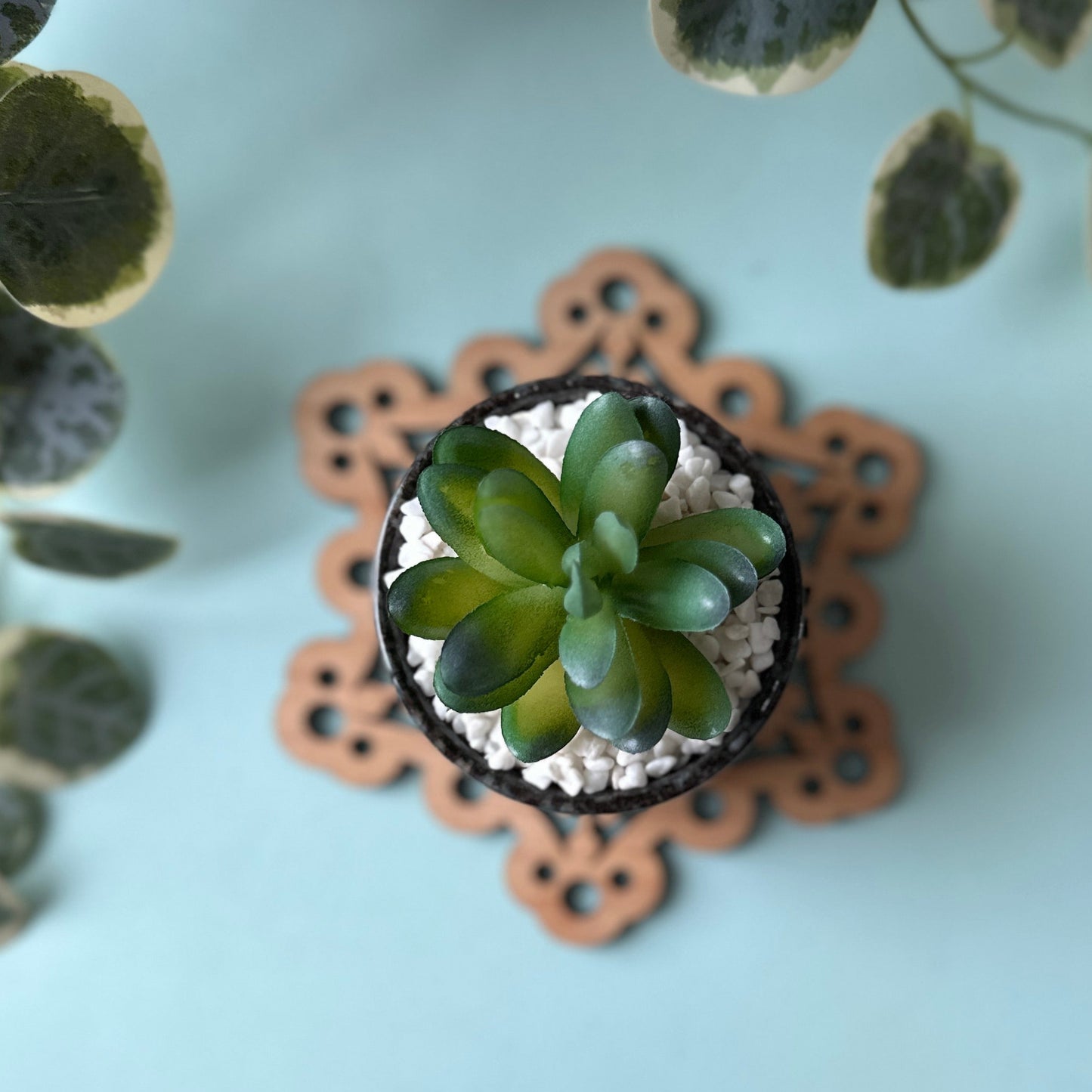 Small potted plant on a decorative trivet with a light background