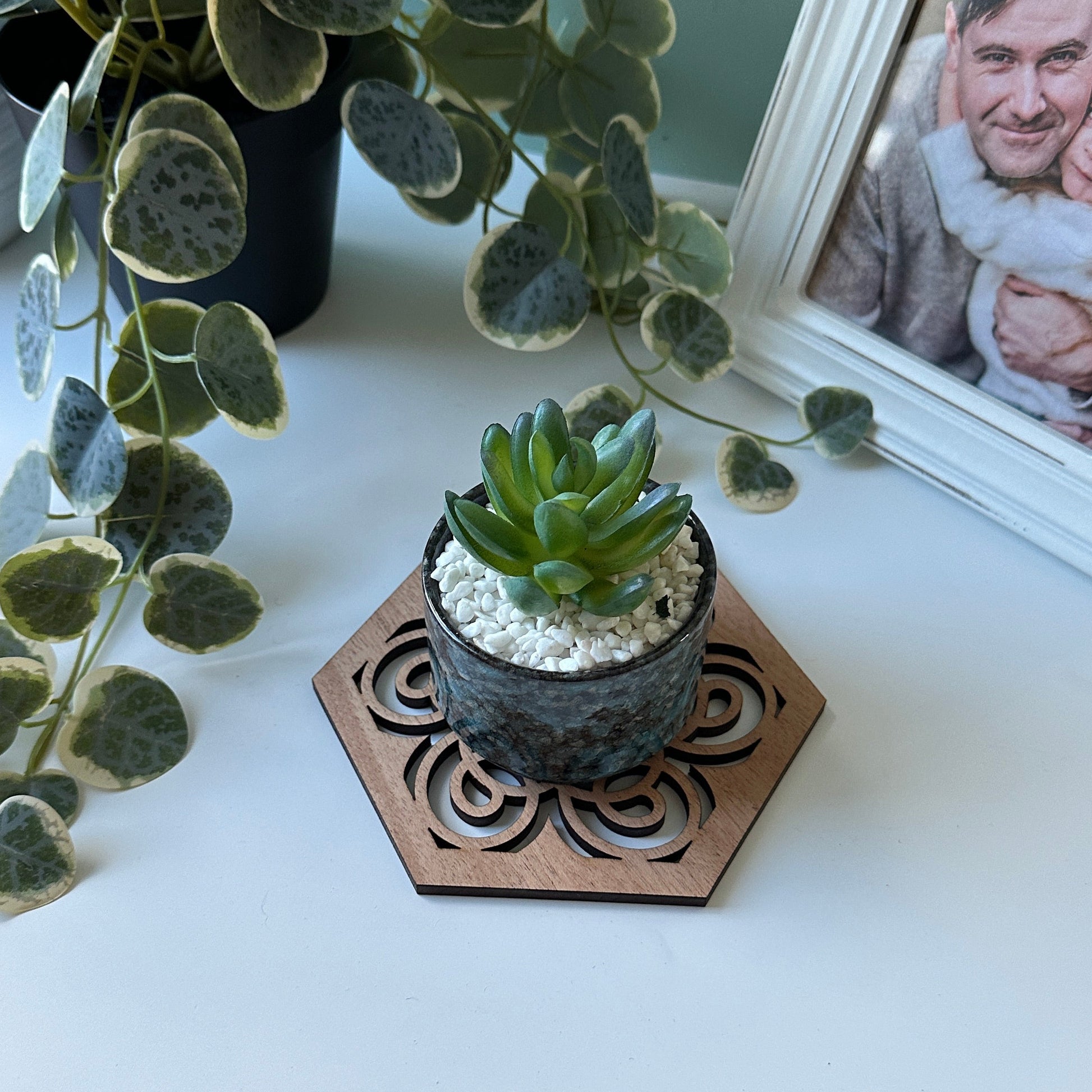 Small potted plant on a decorative coaster with a framed photo of a couple in the background.