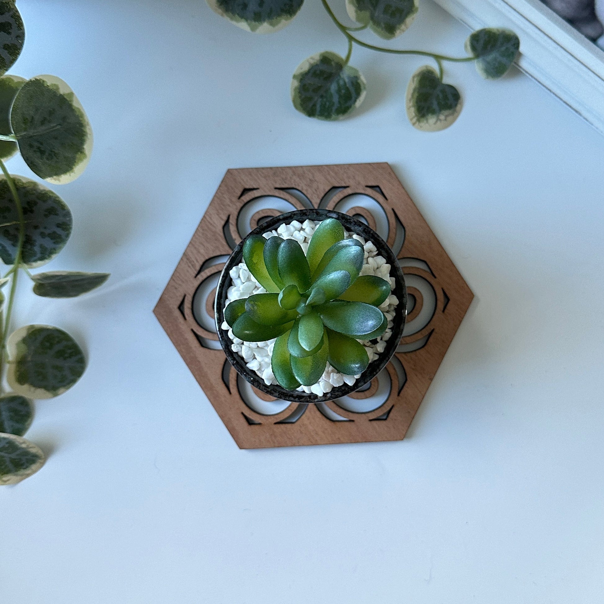 Small potted plant on a hexagonal wooden coaster with a framed photo of a man and child in the background.